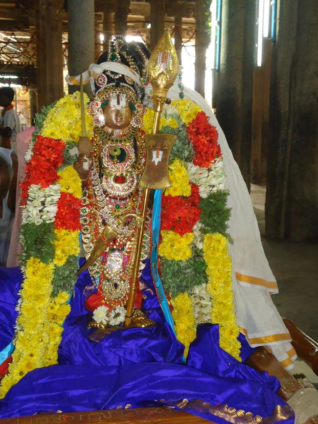 Srirangam Ranganathaswami Temple Irappathu Utsavam day 9 2014-49