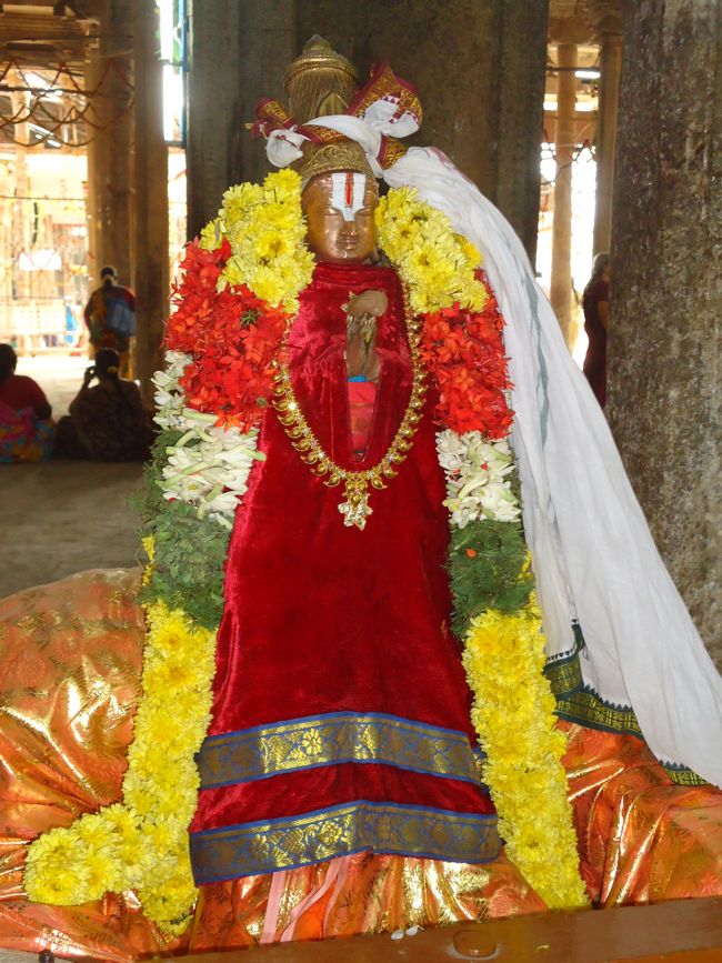 Srirangam Ranganathaswami Temple Irappathu Utsavam day 9 2014-51