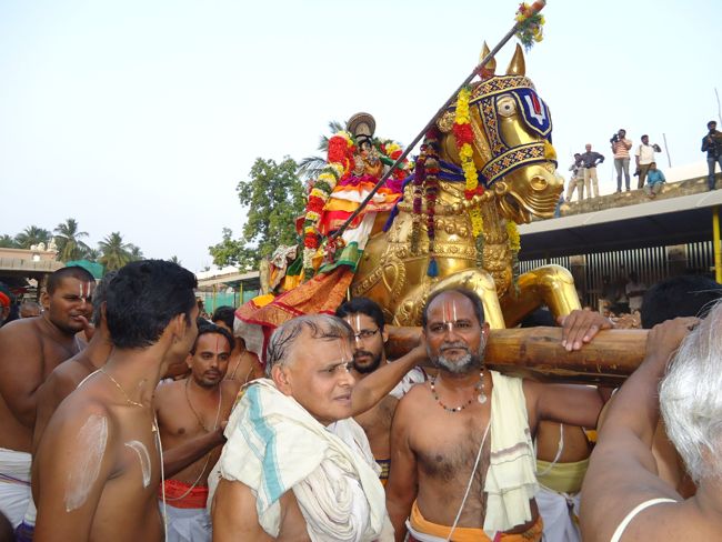 Srirangam Ranganathaswami Temple Irappathu  utsavam Vedupari 2014-06