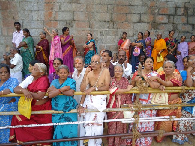 Srirangam Ranganathaswami Temple Irappathu  utsavam Vedupari 2014-24