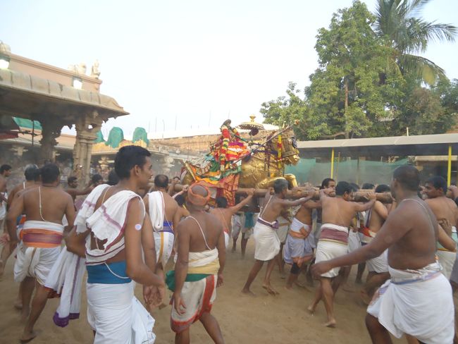 Srirangam Ranganathaswami Temple Irappathu  utsavam Vedupari 2014-37