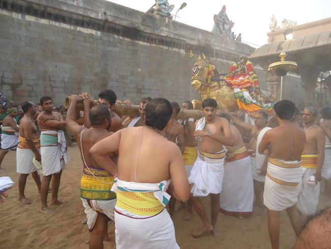 Srirangam Ranganathaswami Temple Irappathu  utsavam Vedupari 2014-49