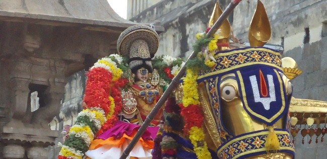 Srirangam Ranganathaswami Temple Irappathu  utsavam Vedupari utsavam 2014-5