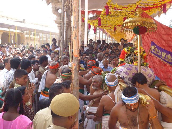 Srirangam Ranganathaswami Temple Irrapathu Day 4 2014-14