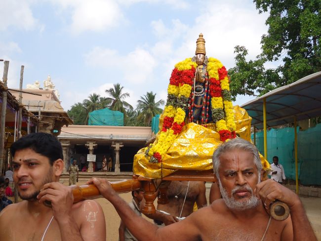 Srirangam Ranganathaswami Temple Irrappathu UTsavam day 2 2014-34