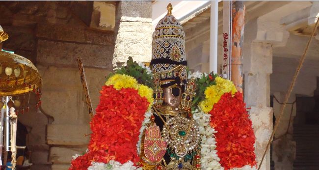 Srirangam Ranganathaswami Temple Irrappathu UTsavam day 5 2014-04