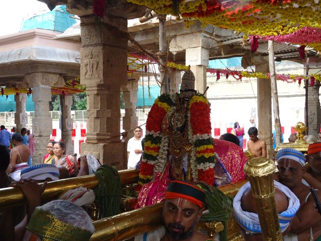 Srirangam Ranganathaswami Temple Irrappathu UTsavam day 5 2014-11