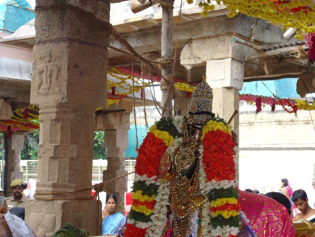 Srirangam Ranganathaswami Temple Irrappathu UTsavam day 5 2014-12