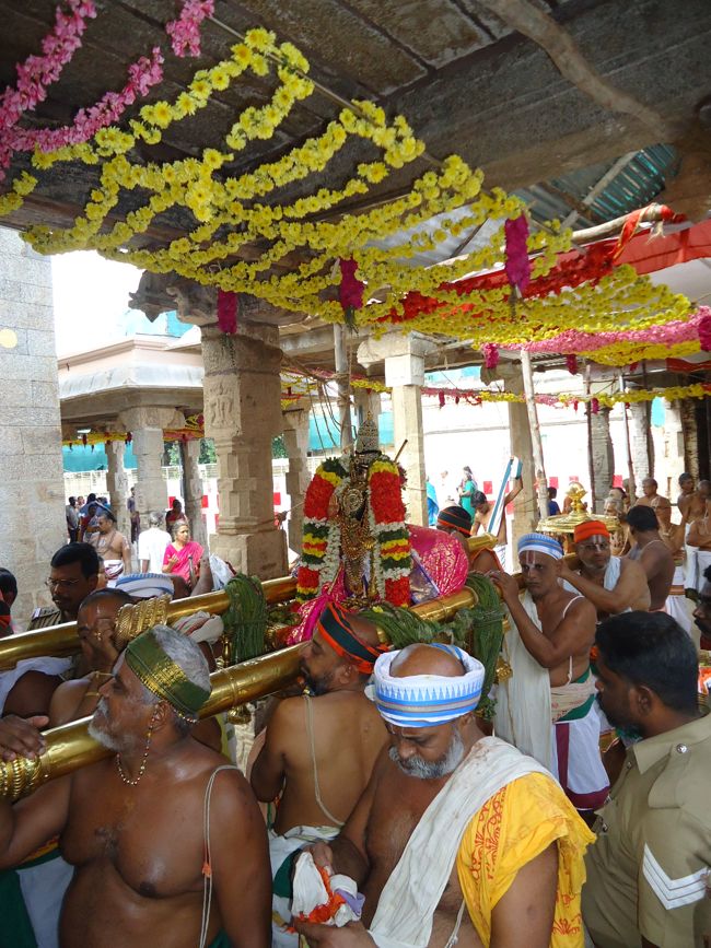 Srirangam Ranganathaswami Temple Irrappathu UTsavam day 5 2014-13