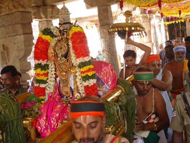 Srirangam Ranganathaswami Temple Irrappathu UTsavam day 5 2014-14