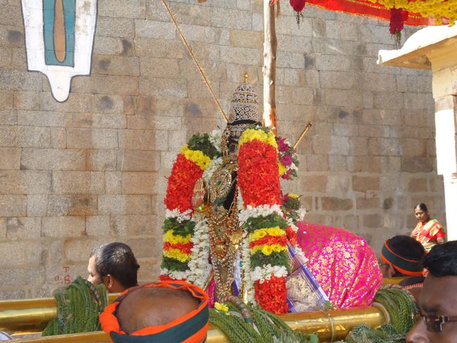 Srirangam Ranganathaswami Temple Irrappathu UTsavam day 5 2014-17