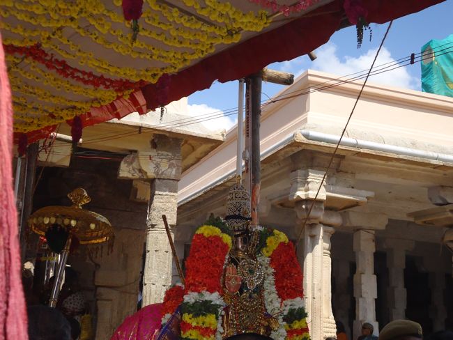 Srirangam Ranganathaswami Temple Irrappathu UTsavam day 5 2014-19