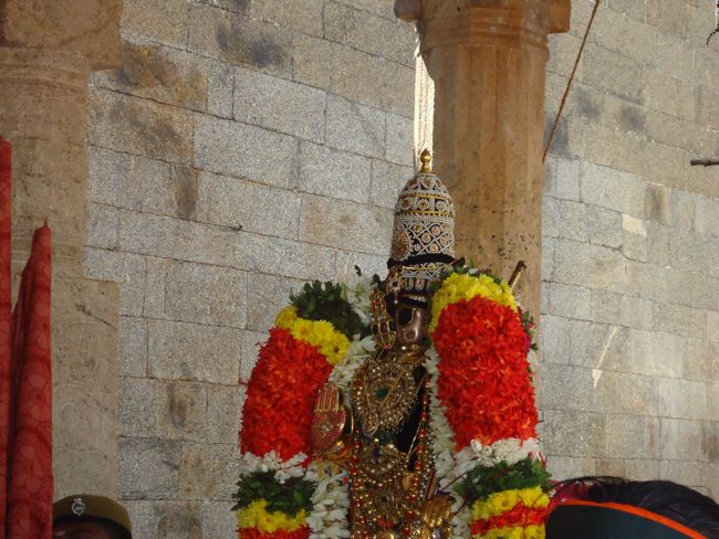 Srirangam Ranganathaswami Temple Irrappathu UTsavam day 5 2014-28
