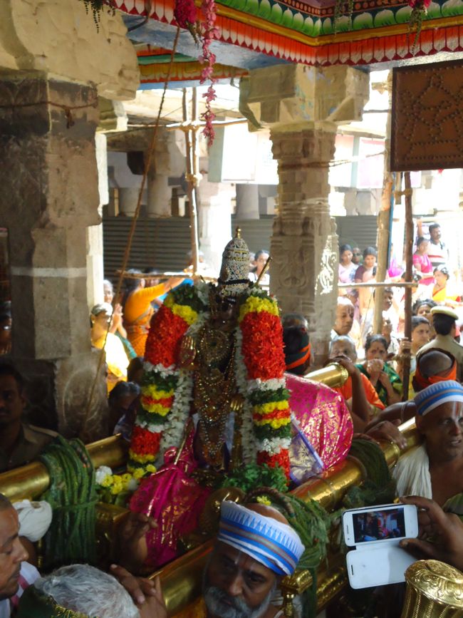 Srirangam Ranganathaswami Temple Irrappathu UTsavam day 5 2014-29
