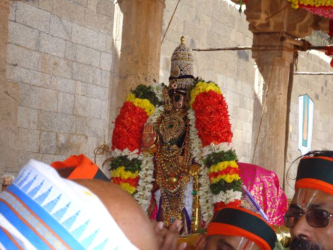 Srirangam Ranganathaswami Temple Irrappathu UTsavam day 5 2014-32