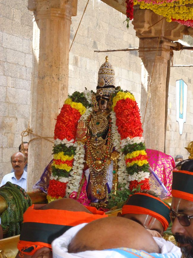 Srirangam Ranganathaswami Temple Irrappathu UTsavam day 5 2014-33