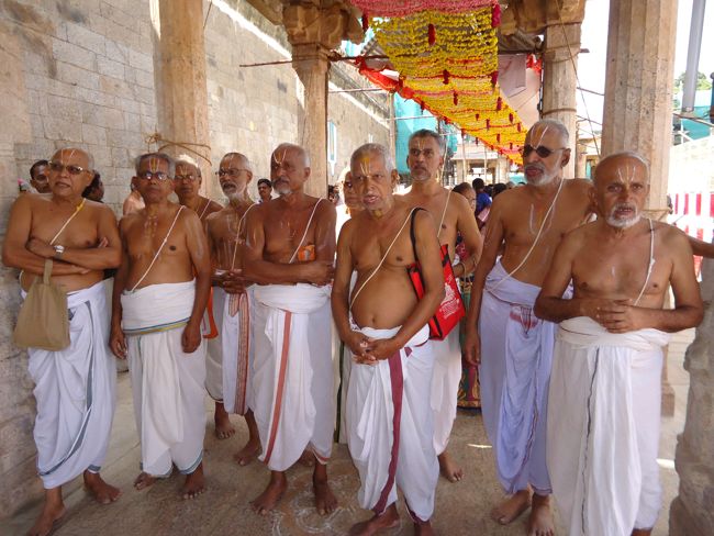 Srirangam Ranganathaswami Temple Irrappathu UTsavam day 5 2014-36