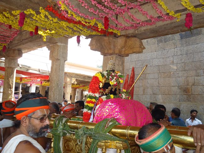 Srirangam Ranganathaswami Temple Irrappathu UTsavam day 5 2014-38