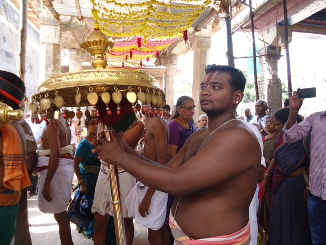 Srirangam Ranganathaswami Temple Irrappathu UTsavam day 5 2014-44