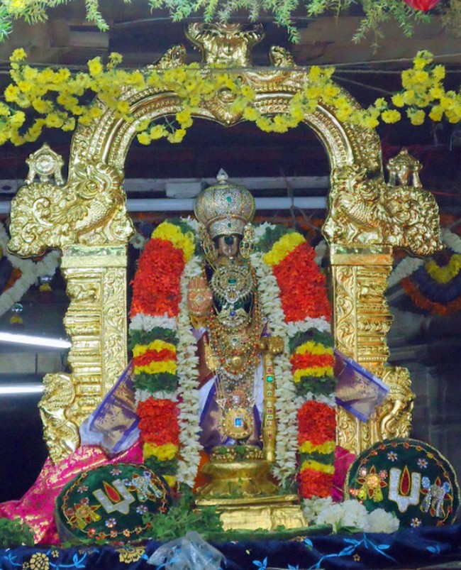 Srirangam Ranganathaswami Temple Vairamudi Kreeda Sevai Irappathu Utsavam day 5 2014-1