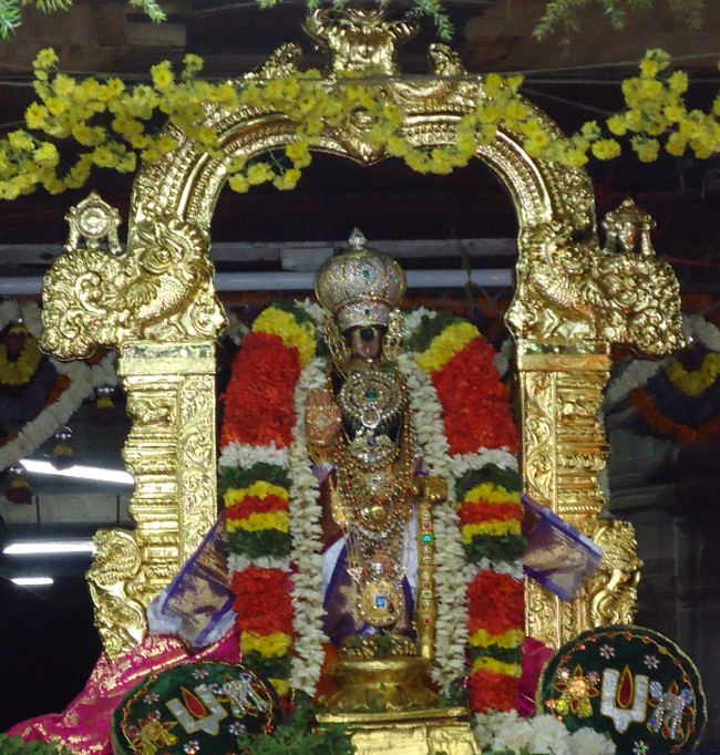 Srirangam Ranganathaswami Temple Vairamudi Kreeda Sevai Irappathu Utsavam day 5 2014-5