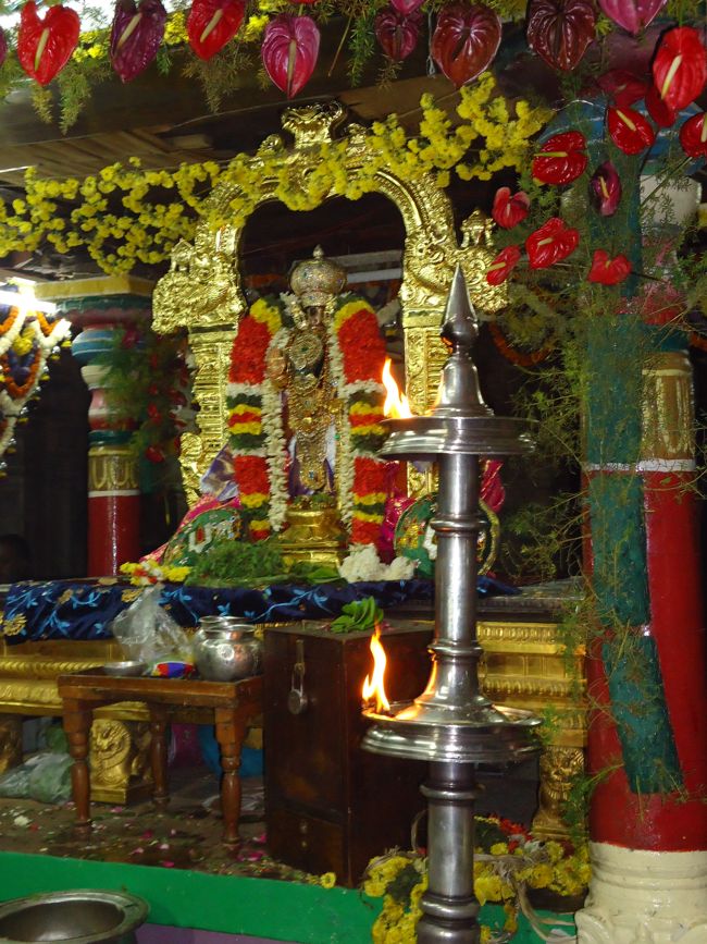Srirangam Ranganathaswami Temple Vairamudi Kreeda Sevai Irrappathu Utsavam day 5 2014-05