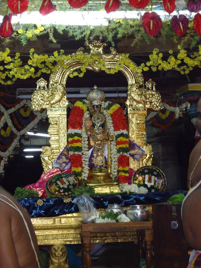 Srirangam Ranganathaswami Temple Vairamudi Kreeda Sevai Irrappathu Utsavam day 5 2014-10
