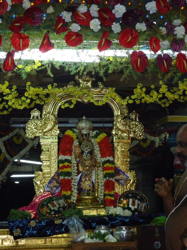 Srirangam Ranganathaswami Temple Vairamudi Kreeda Sevai Irrappathu Utsavam day 5 2014-11