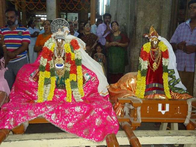 Srirangam Ranganathaswami Temple Vairamudi Kreeda Sevai Irrappathu Utsavam day 5 2014-12