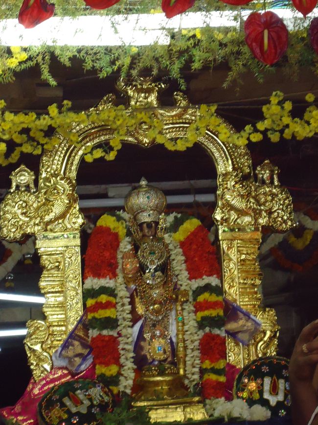 Srirangam Ranganathaswami Temple Vairamudi Kreeda Sevai Irrappathu Utsavam day 5 2014-13
