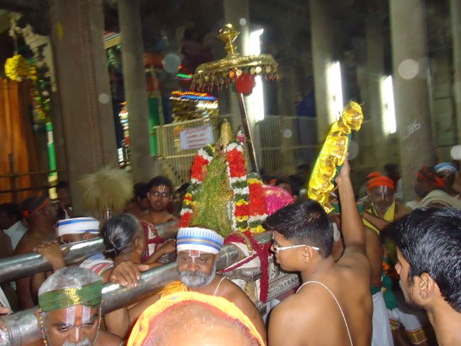 Srirangam Ranganathaswami Temple Vairamudi Kreeda Sevai Irrappathu Utsavam day 5 2014-17