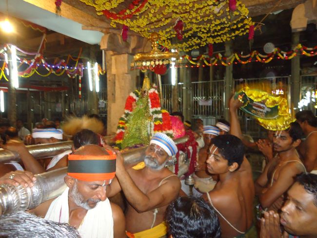 Srirangam Ranganathaswami Temple Vairamudi Kreeda Sevai Irrappathu Utsavam day 5 2014-18