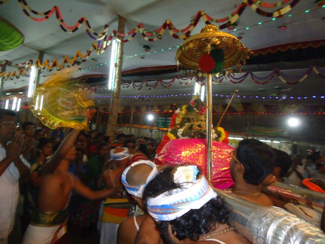 Srirangam Ranganathaswami Temple Vairamudi Kreeda Sevai Irrappathu Utsavam day 5 2014-20