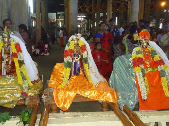 Srirangam Ranganathaswami Temple Vairamudi Kreeda Sevai Irrappathu Utsavam day 5 2014-27