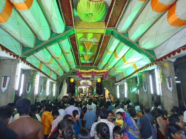 Srirangam Ranganathaswami Temple Vairamudi Kreeda Sevai Irrappathu Utsavam day 5 2014-29