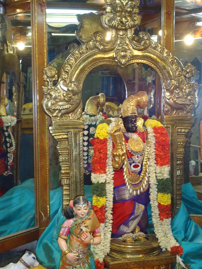 Srirangam Ranganathawsami Temple Sri Paramapathanathar Sannadhi Margazhi UTsavam day 25 2014-2