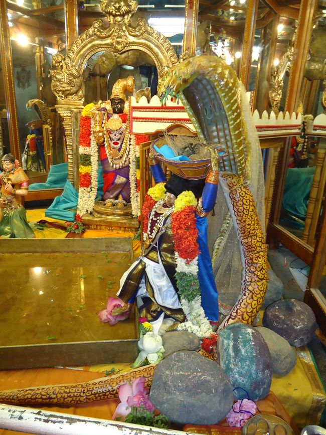 Srirangam Ranganathawsami Temple Sri Paramapathanathar Sannadhi Margazhi UTsavam day 25 2014-5