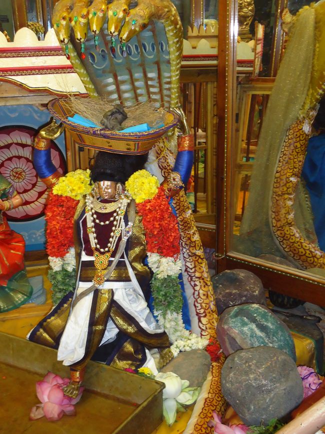 Srirangam Ranganathawsami Temple Sri Paramapathanathar Sannadhi Margazhi UTsavam day 25 2014-6