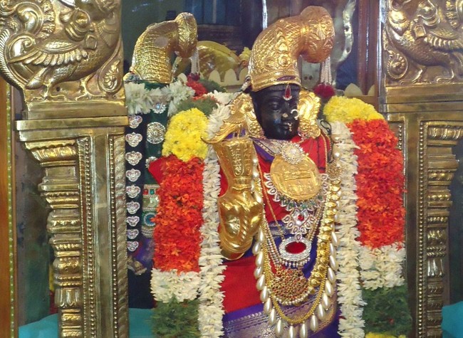Srirangam Ranganathawsami Temple Sri Paramapathanathar Sannadhi Margazhi Utsavam Day 25 2014-1