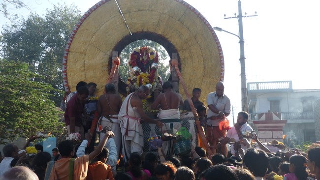 Srirangapatnam rathasapthami Purappadu 2015-05