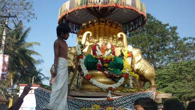 Srirangapatnam rathasapthami Purappadu 2015-11