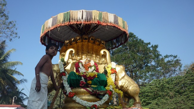Srirangapatnam rathasapthami Purappadu 2015-13