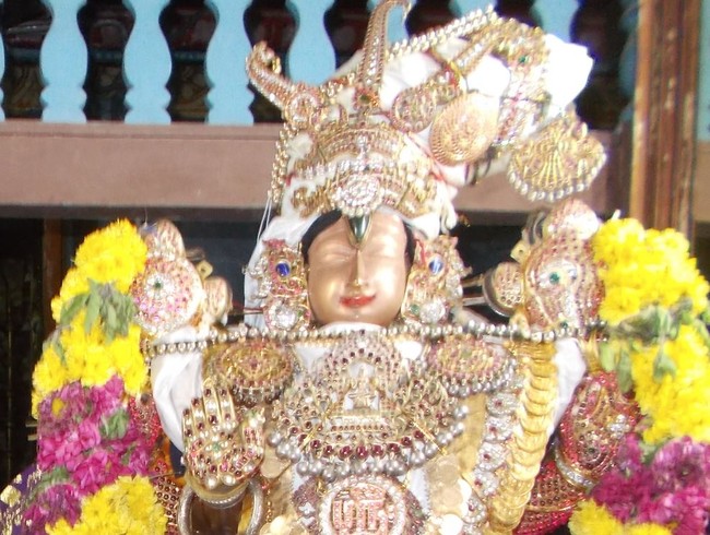 Therazhundur Sri Amaruviappan Mattayadi Utsavam  2015-02