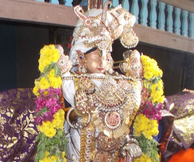 Therazhundur Sri Amaruviappan Mattayadi Utsavam  2015-07