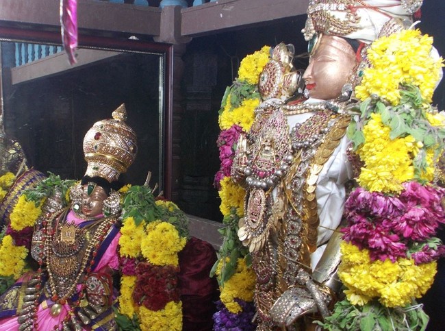 Therazhundur Sri Amaruviappan Mattayadi Utsavam  2015-09