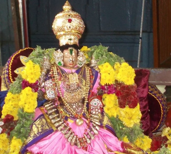 Therazhundur Sri Amaruviappan Mattayadi Utsavam  2015-13