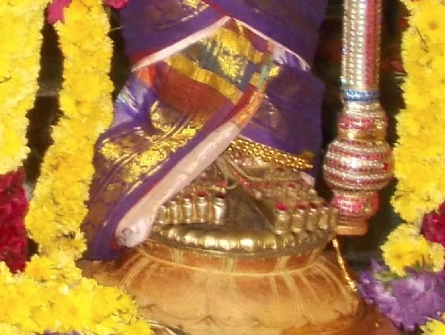 Therazhundur Sri Amaruviappan Mattayadi Utsavam  2015-18