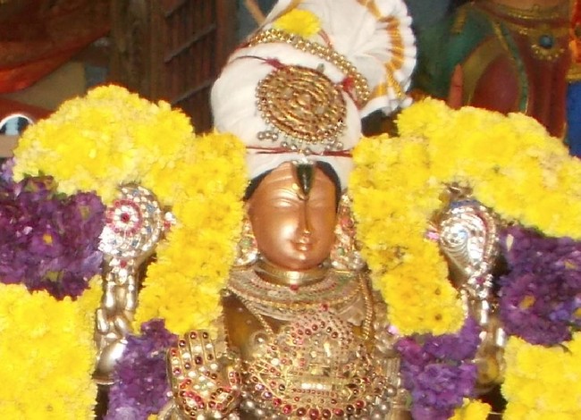 Therazhundur Sri Amaruviappan Mattayadi Utsavam  2015-19