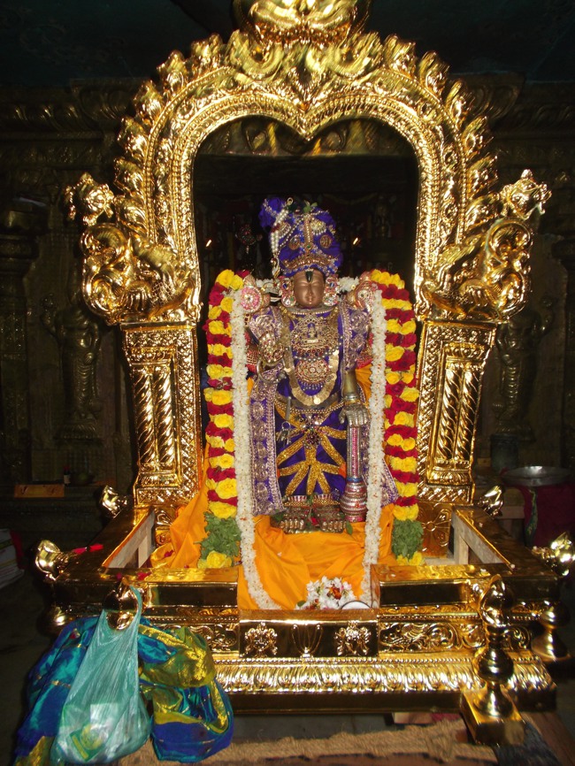Therazhundur Sri Amaruviappan Temple Irappathu UTsavam-2014-13