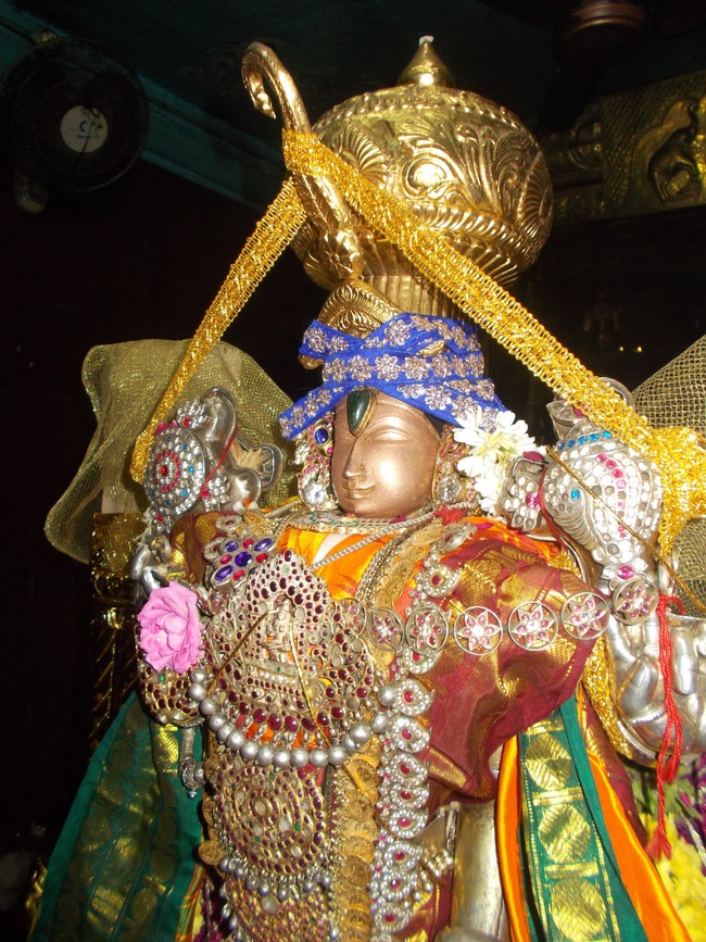Therazhundur Sri Amaruviappan Temple Irappathu  utsavam Day 6 & 7   2014-19